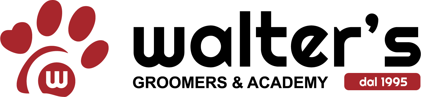logo orizz nuovo@3x